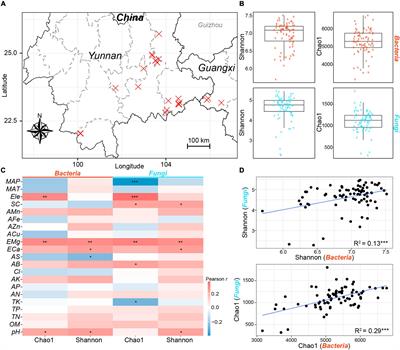 Dispersal Limitation Plays Stronger Role in the Community Assembly of Fungi Relative to Bacteria in Rhizosphere Across the Arable Area of Medicinal Plant